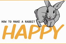 your rabbit the happiest bunny