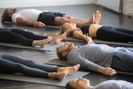 yoga feel free yoga and wellness studio