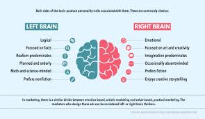 Left Brained Vs Right Brained Marketing Visual Learning