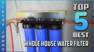 top 5 best whole house water filters in