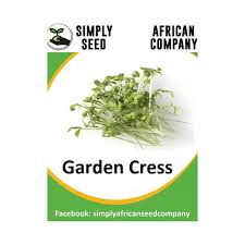 Garden Cress Seeds Soulful Herbs Spices