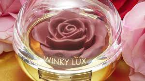 8 winky lux makeup s you should