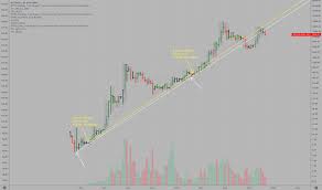Trader Timwest Trading Ideas Charts Tradingview