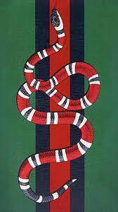 gucci snake wallpapers on wallpaperdog