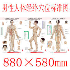 Usd 5 46 Human Meridian Acupuncture Chart Foot Reflection