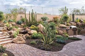 Desert Landscaping Services In Las