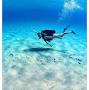 Godive mykonos scuba diving resort reviews from www.tourhq.com