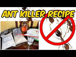 ant bait recipe using boric acid