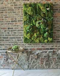 23 Diy Moss Wall Art To Bring Greenery