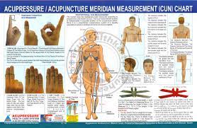 Acupuncture, Face, Acu Cun, Meridian Summary, Points Charts (Set of 5) + 5  Rings | eBay