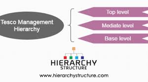 Tesco Management Hierarchy Tesco Organizational Structure