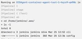 Aws-cli can't find aws config - Using Jenkins - Jenkins
