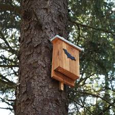 Will A Bat House Get Rid Of Mosquitoes