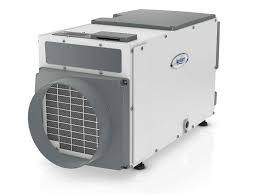 basement dehumidification services for