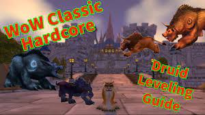 WoW Classic Hardcore Druid Leveling Guide - YouTube