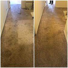 carpet cleaning near streamwood il