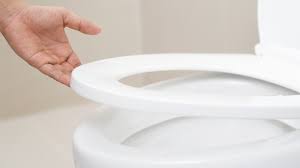 Cleaning Your Toilet Seat With Bleach