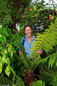 Majestic Tree Ferns