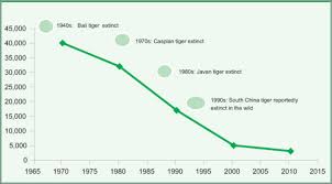 Background Tiger Population Decline
