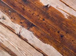 repair hardwood floor water damage