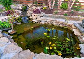 Backyard Pond Designs You And Your Koi