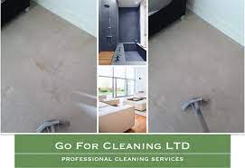 professional cleaners south west london