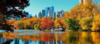 Image result for fall