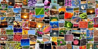 how to create photo collages in windows 11