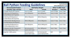 Ferret Food Chart Luxury Ball Python Feeding Chart How