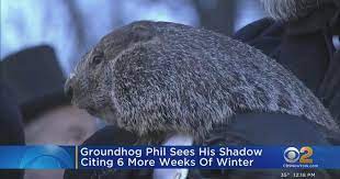 Groundhog Day 2023 Punxsutawney Phil The Groundhog Sees His Shadow  gambar png