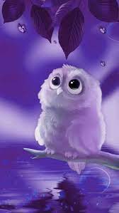 cute owls hd phone wallpaper