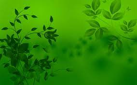 green background images hq wallpaper cave