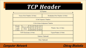 tcp header computer network tcp