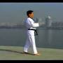 taekwondo poomsae 1-17 pdf from googleweblight.com