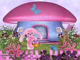 hd house bunny wallpapers peakpx