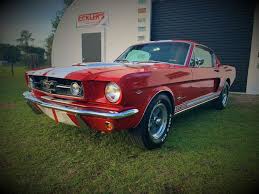 Find mustang used car at the best price. 1965 Ford Mustang Shelby Gt350 Tribute Is An Affordable Alternative