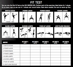 insanity fit test exercises sheet