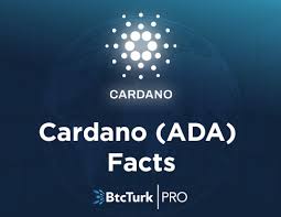 The most actual price for one cardano ada is $1.023013. Cardano Ada Facts Ada Created By The Cardano Foundation By Btcturk Medium