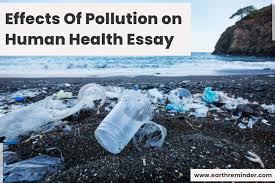 of pollution on human health essay