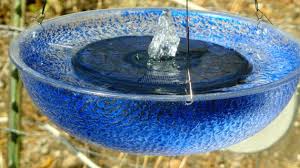 water fountain royal blue bird