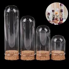 1 6 doll glass dome display wood cork