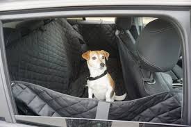 pet car accessories when travelling