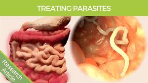 symptoms of worms in s parasite