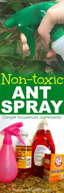 You may have to experiment a little spray, wipe or pour over areas of concern depending on whether its indoors or outdoors. The Best Homemade Ant Killer Kid Pet Safe The Soccer Mom Blog