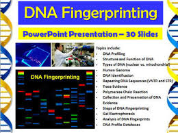 Forensic Science Dna Fingerprinting Powerpoint