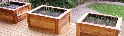 How To Build Raised Beds In Your Garden