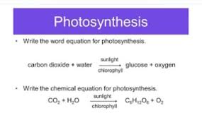 Do You Know Photosynthesis Equation