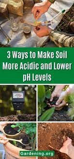 Soil More Acidic And Lower Ph Levels