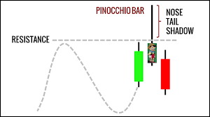 Trading The Pinocchio Bar Pin Bar With Price Action Examples