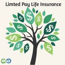 But there are some significant disadvantages that should be weighed before purchasing a. Limited Pay Whole Life Insurance Best Policies With Sample Rates